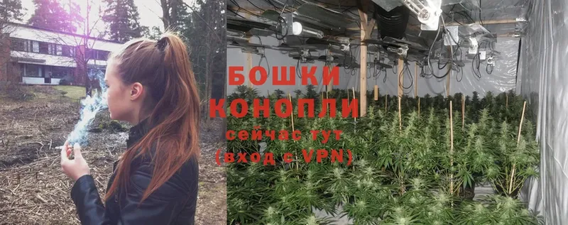 Канабис SATIVA & INDICA  Кизилюрт 